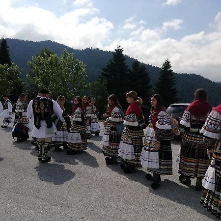 Ξενοδοχείο Μαγκιωση Neraïdochóri Dış mekan fotoğraf