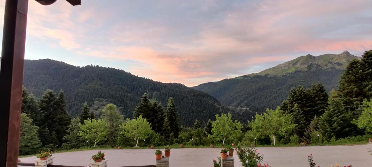 Ξενοδοχείο Μαγκιωση Neraïdochóri Dış mekan fotoğraf