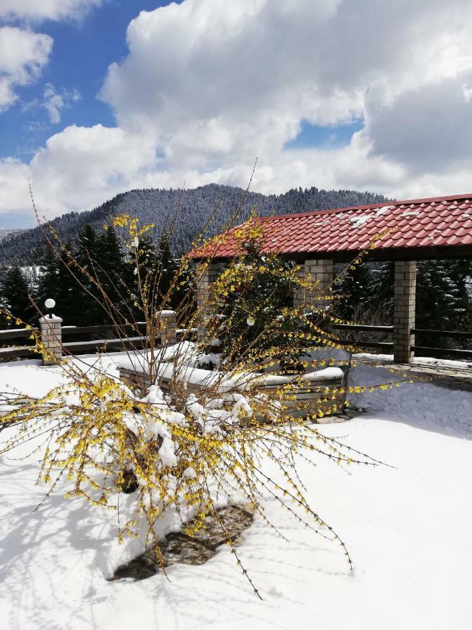 Ξενοδοχείο Μαγκιωση Neraïdochóri Dış mekan fotoğraf
